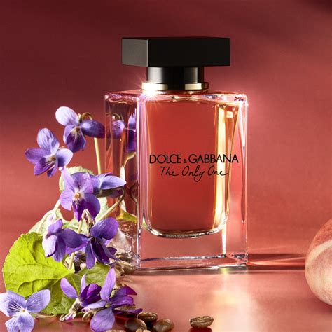 dolce gabbana the one notes